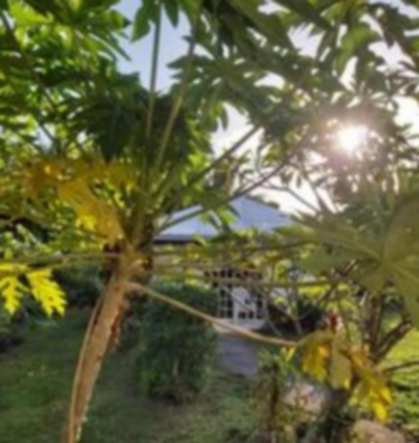 Chez Mimi Et Daniel Villa Bora Bora Exteriör bild